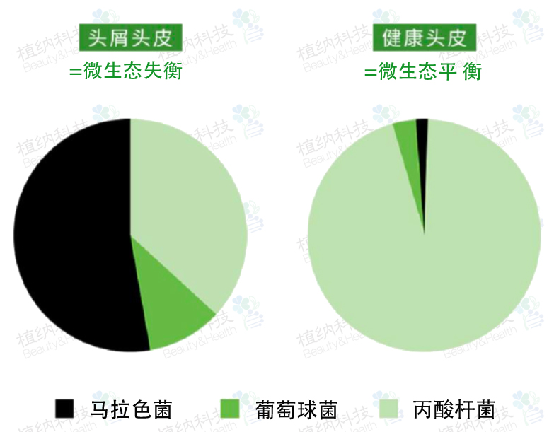 功效试验0.jpg