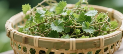 1764568467108875908.jpg _42_副本.jpg