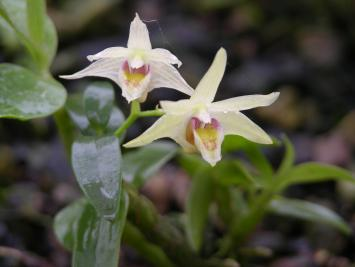 1763430727913035105.png 4.png