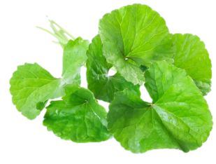 This is a product title