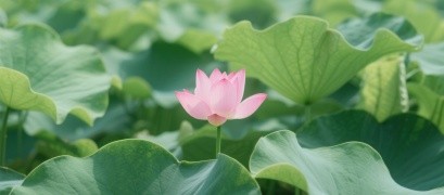 This is a product title